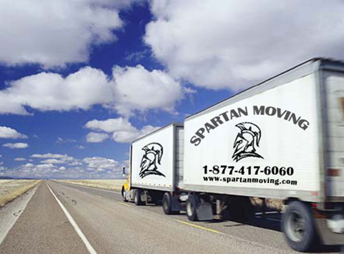 San Francisco Movers Role